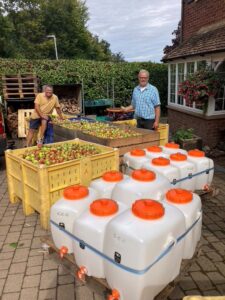 Our 2024 crop of apples